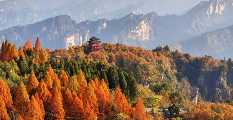 初冬攬勝天子山